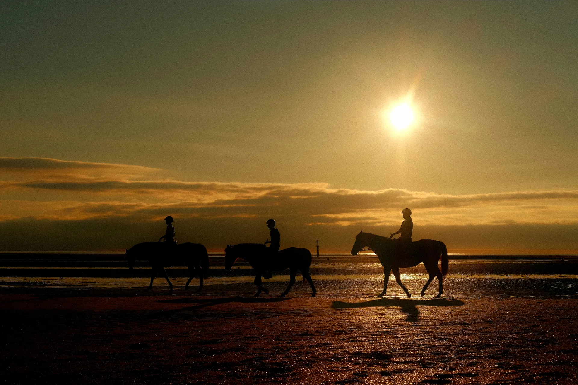 Horseback Riding on Patara Beach: An Unforgettable Sunset Experience