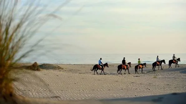 Patara At Binme Turu