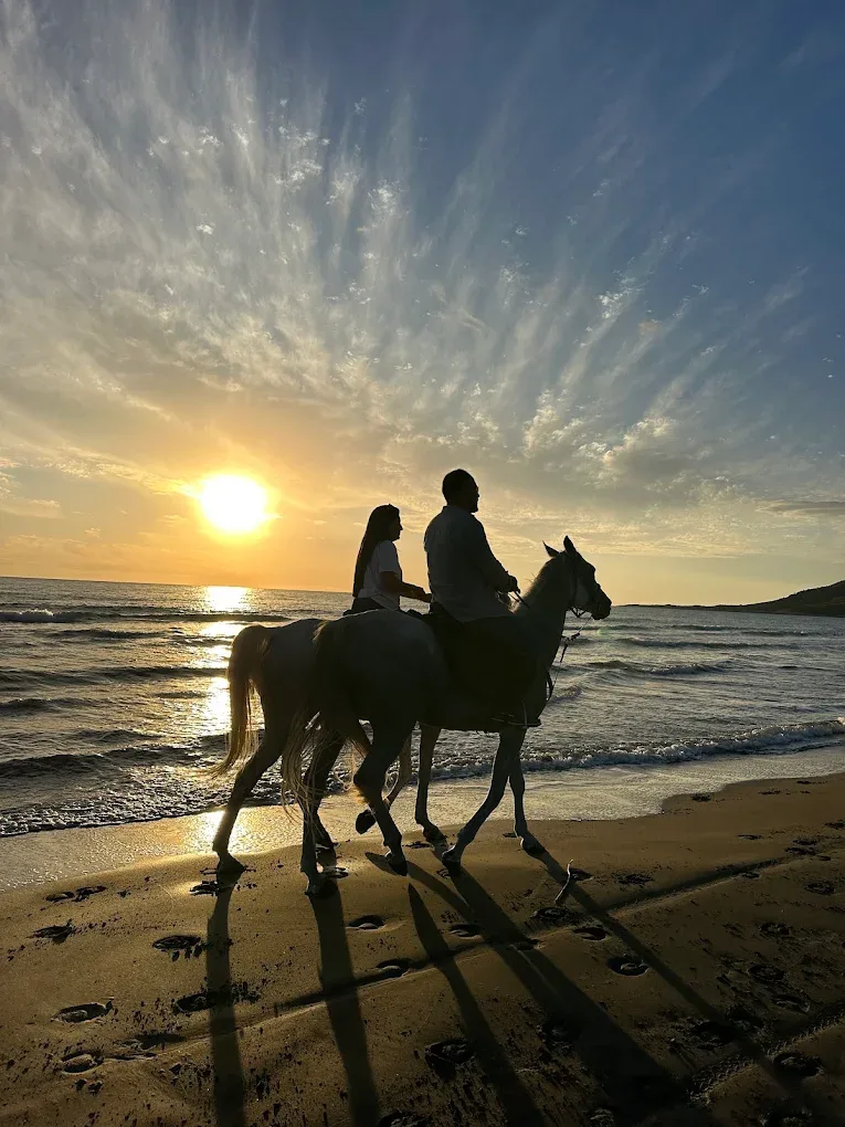 Patara At Binme Turu