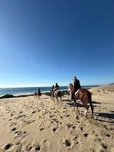 Patara At Binme Turu