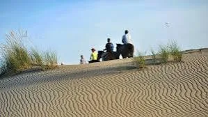 Patara At Binme Turu