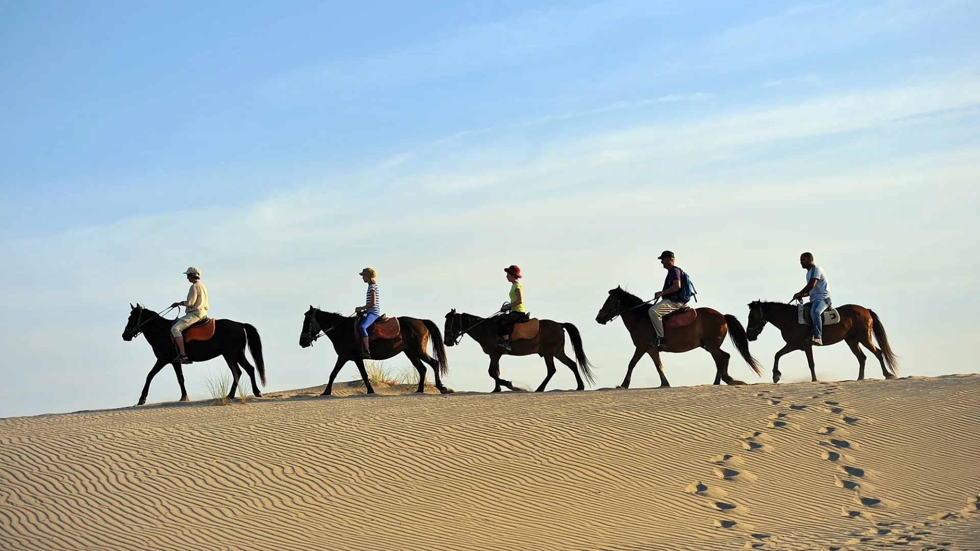 Patara At Binme Turu